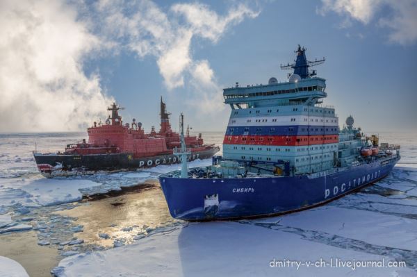 Притаились и поджидают клиентов на кромке льдов...